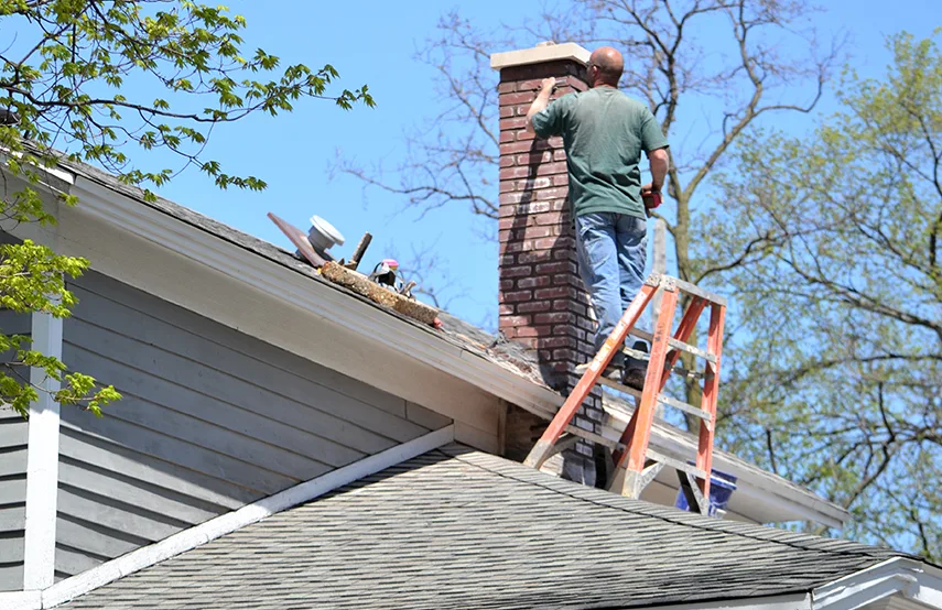 Chimney & Fireplace Inspections Services in Selden, NY